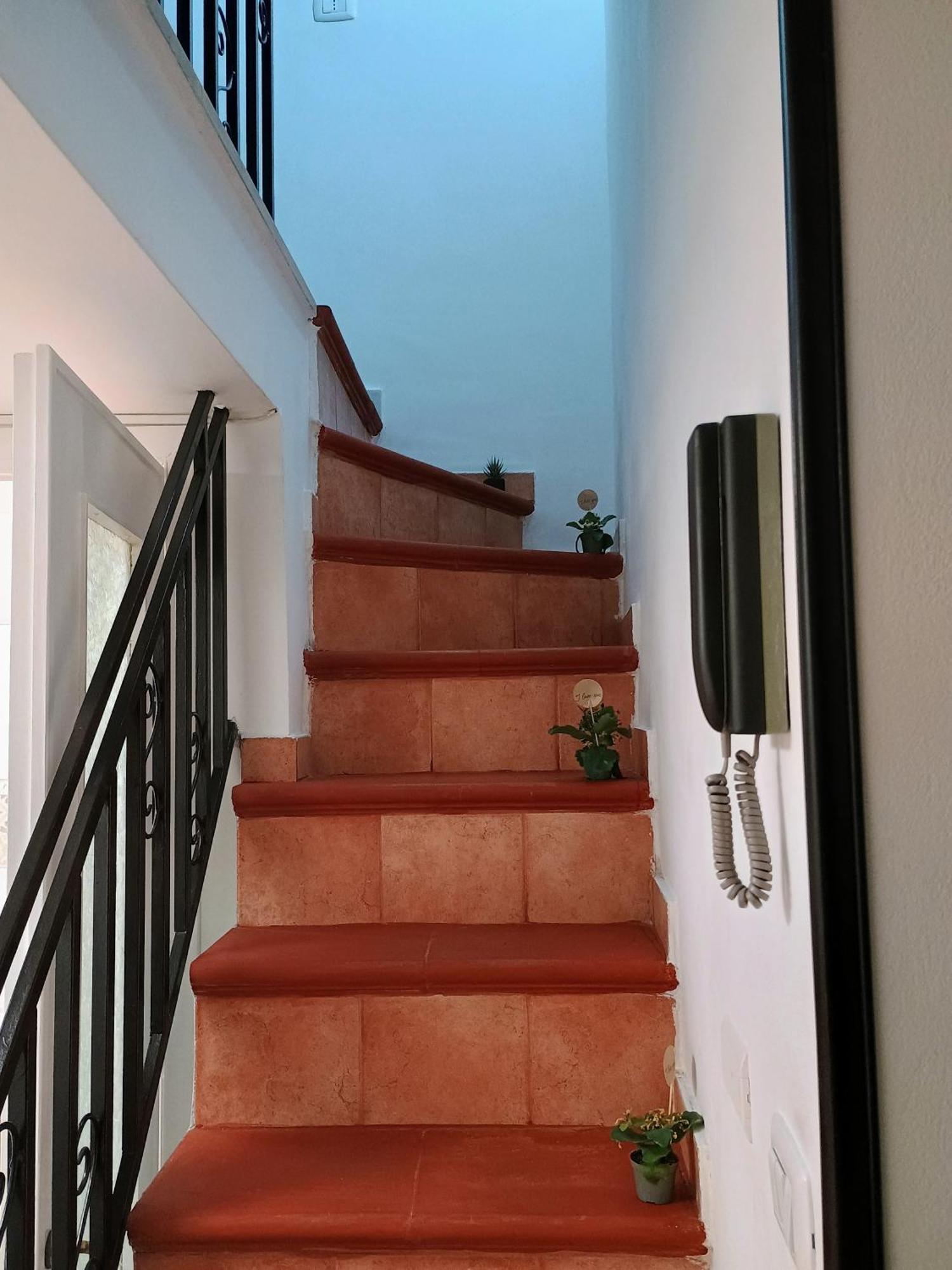 דירות פלרמו Casa Centro Storico O Capu מראה חיצוני תמונה